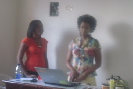 Facilitator, Señor Rafael Dunker Campaign, San Pedro de Macorís, Dominican Republic: Presented the topic, Natural Hair Care and The Diaspora, April&nbsp;2010